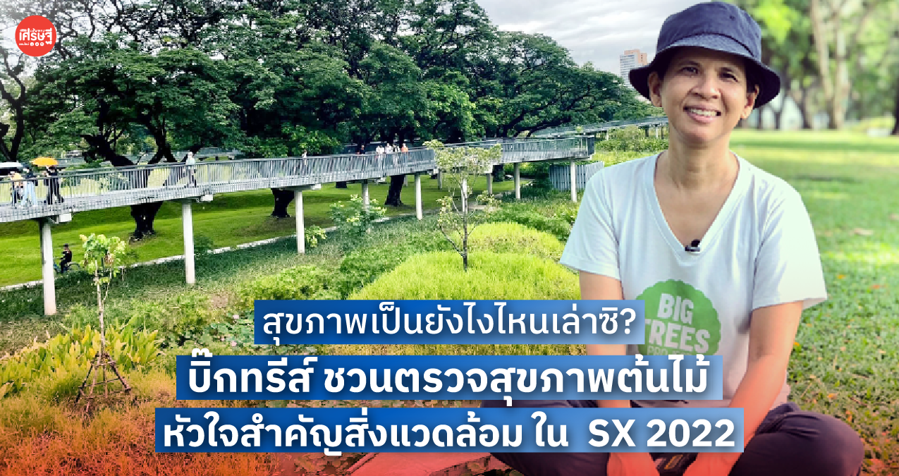 สุขภาพเป็นยังไงไหนเล่าซิ? บิ๊กทรีส์ ชวนตรวจสุขภาพต้นไม้ หัวใจสำคัญสิ่งแวดล้อม ใน SX 2022