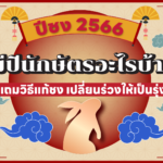 ปีชง 2566 มีปีนักษัตรอะไรบ้าง แถมวิธีแก้ชง เปลี่ยนร่วงให้เป็นรุ่ง