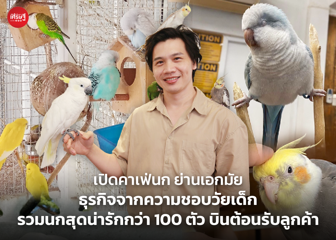 เปิดคาเฟ่นก ย่านเอกมัย ธุรกิจจากความชอบวัยเด็ก รวมนกสุดน่ารักกว่า 100 ตัว บินต้อนรับลูกค้า
