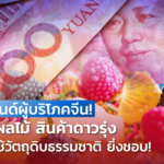 เทรนด์ผู้บริโภคจีน! วุ้นผลไม้ สินค้าดาวรุ่ง ยิ่งใช้วัตถุดิบธรรมชาติ ยิ่งชอบ!