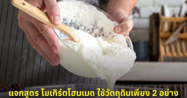 แจกสูตร โยเกิร์ตโฮมเมด ใช้วัตถุดิบเพียง 2 อย่าง ทำกินที่บ้านได้ง่ายๆ ทำขายหารายได้เสริมได้ด้วย