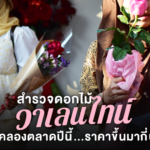 สำรวจดอกไม้วาเลนไทน์ ปากคลองตลาดปีนี้ ราคาขึ้นมากี่บาท