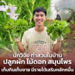 Genehomegarden