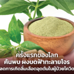 ครั้งแรกของโลก พบ ผงบดฟ้าทะลายโจร ลดลิ่มเลือดอุดตันในผู้ป่วยโควิด