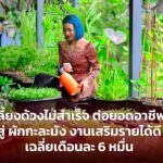 ผักกะละมัง