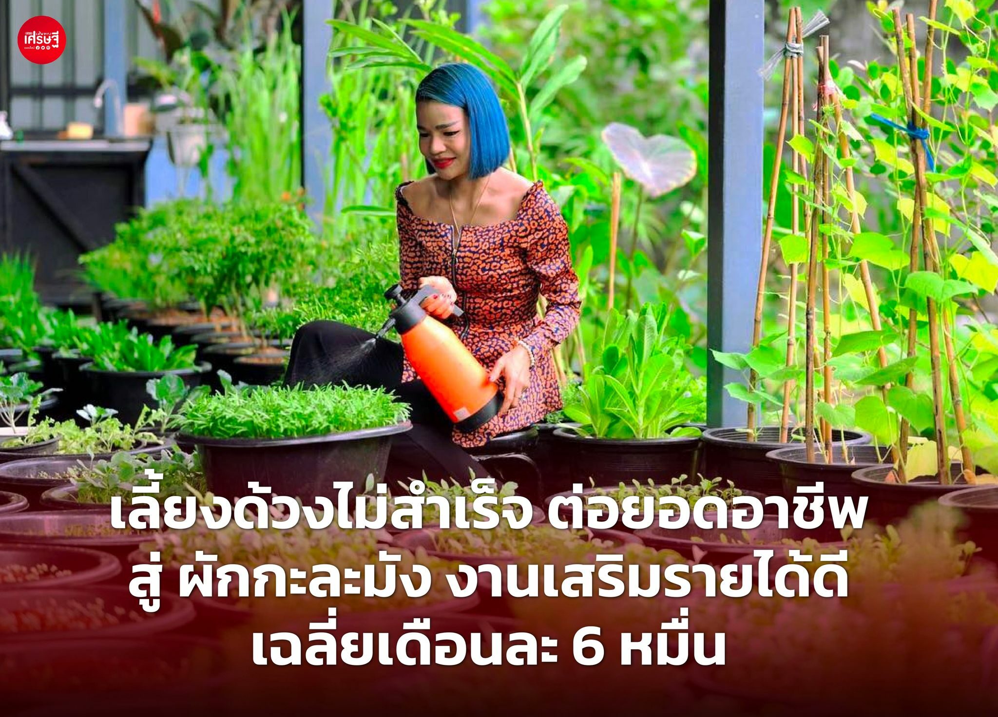 ผักกะละมัง