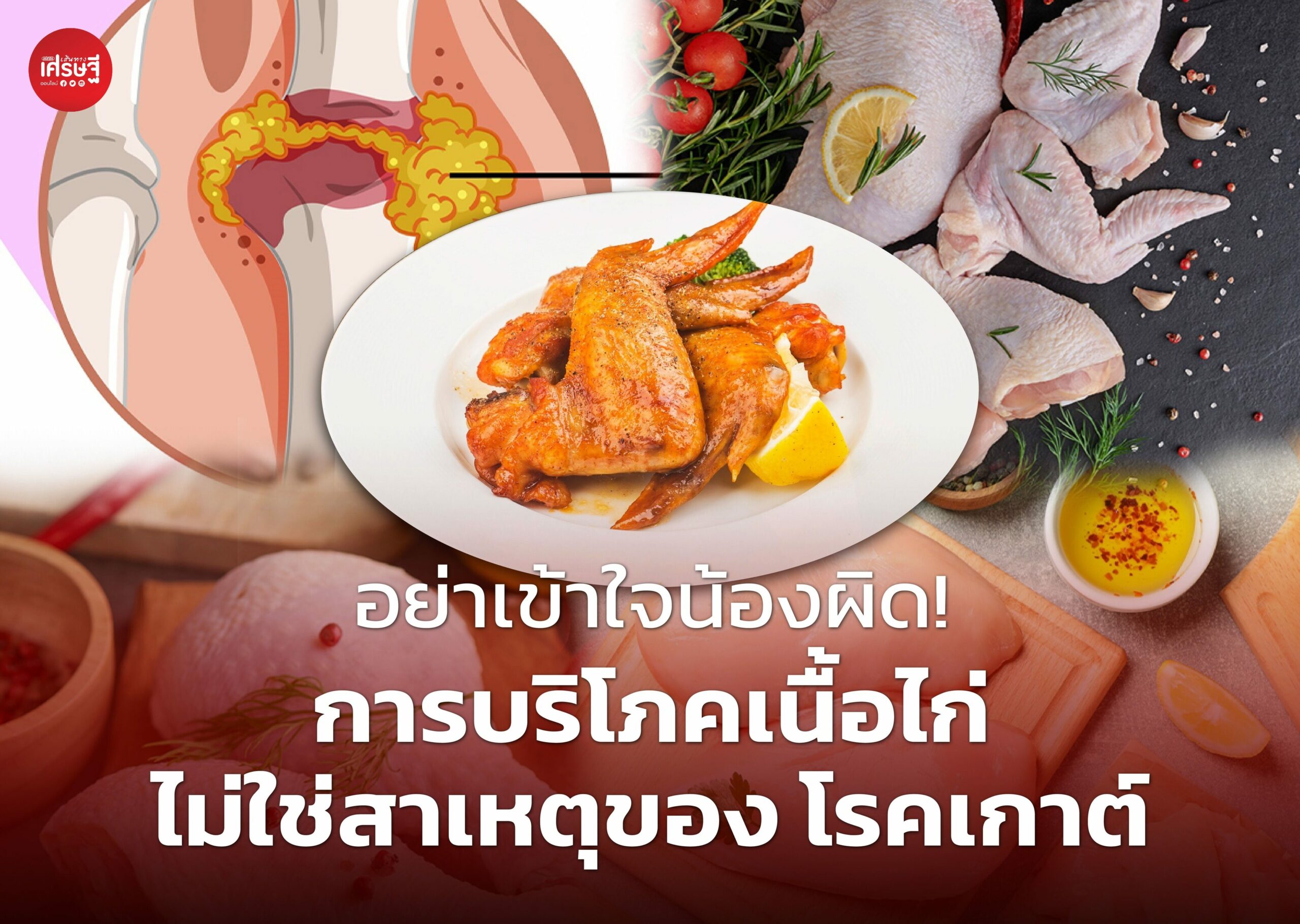อย่าเข้าใจน้องผิด! การบริโภคเนื้อไก่ ไม่ใช่สาเหตุของ โรคเกาต์ 