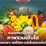 ส่งออกผลไม้ไทย ปี 66 ภาพรวมเติบโตได้ โดยเฉพาะ ผลไม้สด แช่เย็นและแช่แข็ง