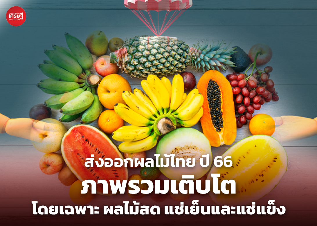 ส่งออกผลไม้ไทย ปี 66 ภาพรวมเติบโตได้ โดยเฉพาะ ผลไม้สด แช่เย็นและแช่แข็ง