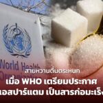 สายหวานตื่นตระหนก เมื่อ WHO เตรียมประกาศ แอสปาร์แตม เป็นสารก่อมะเร็ง 