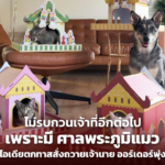 ไม่รบกวนเจ้าที่อีกต่อไป เพราะมี ศาลพระภูมิแมว ไอเดียตกทาส สั่งถวายเจ้านาย จนออร์เดอร์พุ่ง