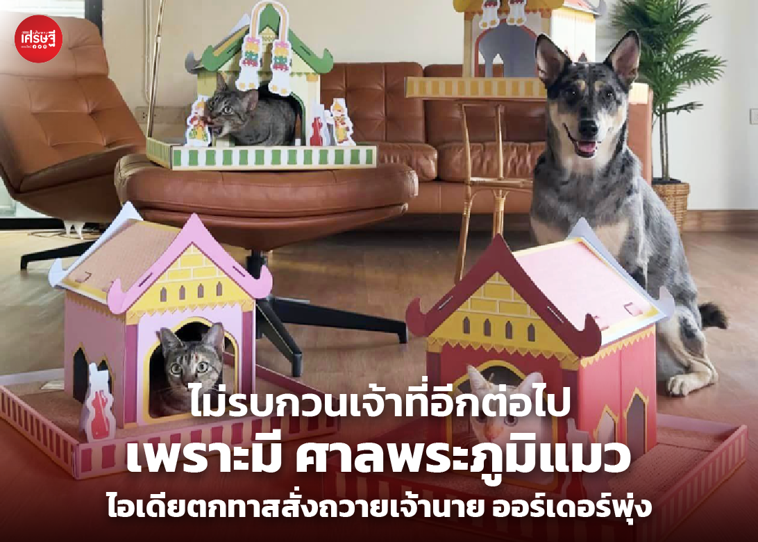 ไม่รบกวนเจ้าที่อีกต่อไป เพราะมี ศาลพระภูมิแมว ไอเดียตกทาส สั่งถวายเจ้านาย จนออร์เดอร์พุ่ง