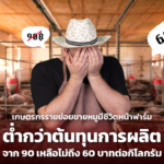 เกษตรกรรายย่อย ขายหมูมีชีวิตหน้าฟาร์ม ต่ำกว่าต้นทุนการผลิต จาก 90 เหลือไม่ถึง 60 บาทต่อกิโลกรัม