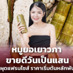 หมูยอเยาวภา ขายดีวันเป็นแสน ผุดแฟรนไชส์ ราคาเริ่มต้นหลักพัน