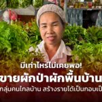 มีเท่าไหร่ไม่เคยพอ! ขายผักป่าผักพื้นบ้าน เจาะกลุ่มคนไกลบ้าน สร้างรายได้เป็นกอบเป็นกำ