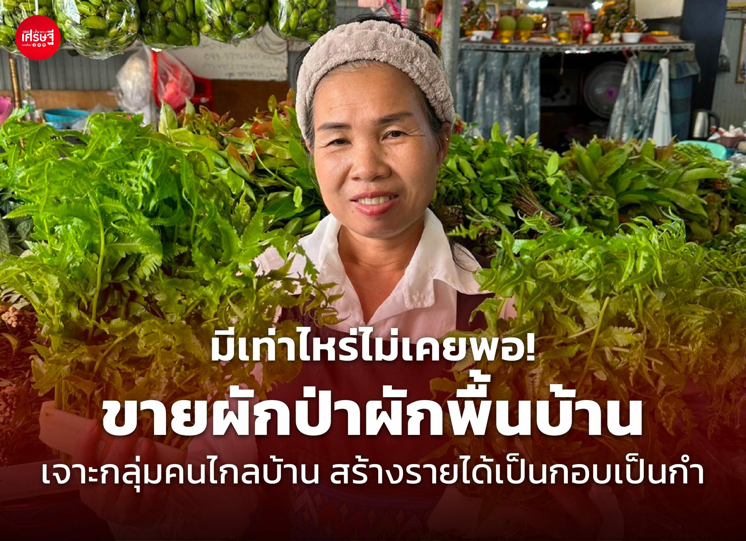 มีเท่าไหร่ไม่เคยพอ! ขายผักป่าผักพื้นบ้าน เจาะกลุ่มคนไกลบ้าน สร้างรายได้เป็นกอบเป็นกำ