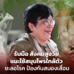 รับมือ สังคมสูงวัย แนะใช้สมุนไพรใกล้ตัว ชะลอโรค ป้องกันสมองเสื่อม