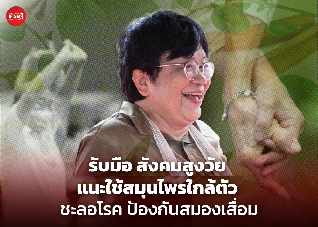 รับมือ สังคมสูงวัย แนะใช้สมุนไพรใกล้ตัว ชะลอโรค ป้องกันสมองเสื่อม