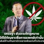 เศรษฐา ยันจะแก้กฎหมาย ให้ใช้กัญชาเพื่อการแพทย์เท่านั้น