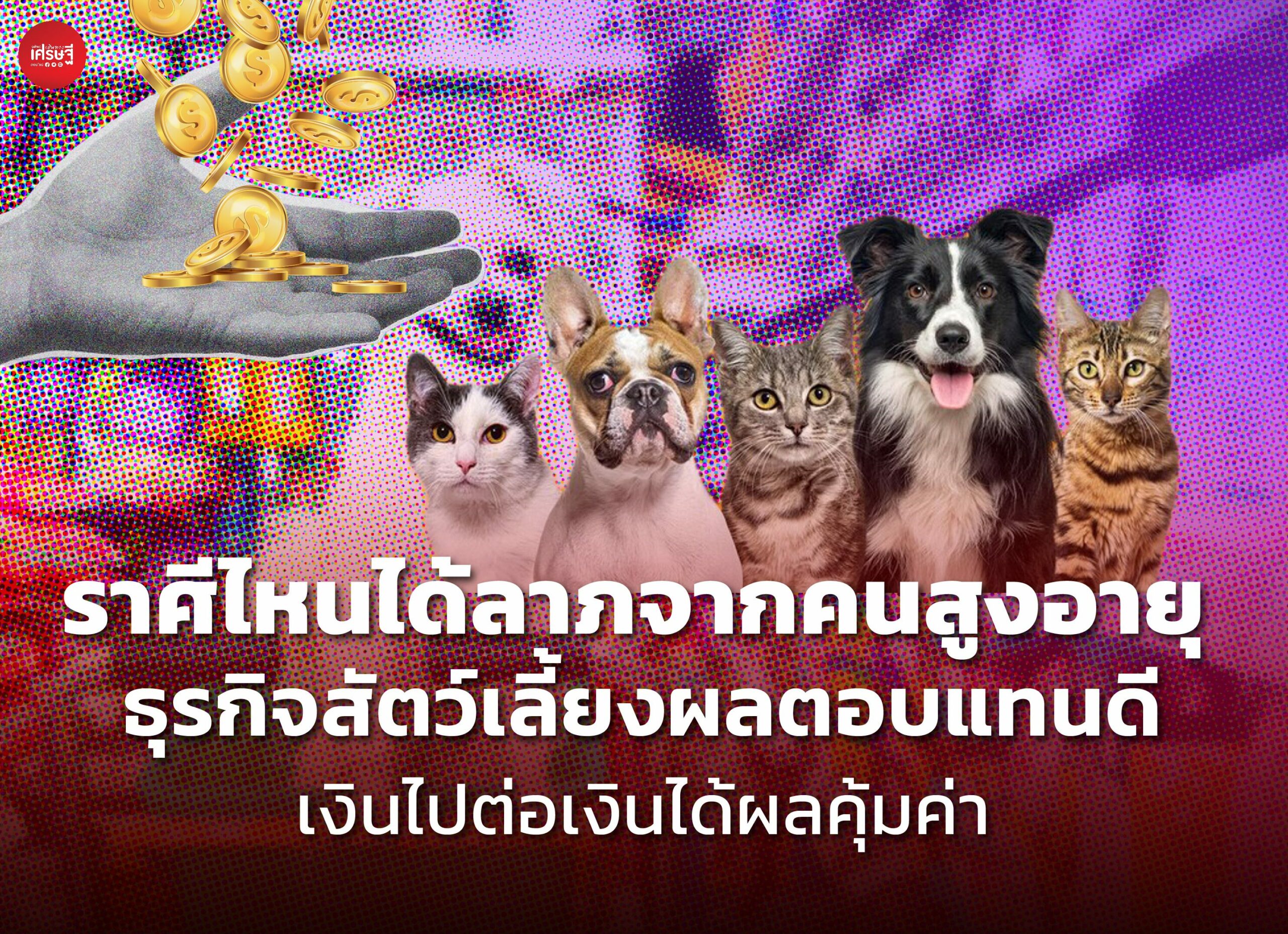 ราศีไหนได้ลาภจากคนสูงอายุ ธุรกิจสัตว์เลี้ยงผลตอบแทนดี เงินไปต่อเงินได้ผลคุ้มค่า