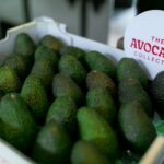 “แฮส” อะโวคาโด ออสเตรเลีย เกรดพรีเมียม เปิดตลาดในไทยเป็นครั้งแรก 