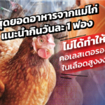 ไข่ไก่ สุดยอดอาหารจากแม่ไก่ แนะนำกินวันละ 1 ฟอง ไม่ได้ทำให้คอเลสเตอรอลในเลือดสูง