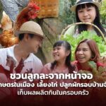 ชวนลูกละจากหน้าจอ มาทำเกษตรในเมือง เลี้ยงไก่ ปลูกผักรอบบ้านจัดสรร เก็บผลผลิตกินในครอบครัว
