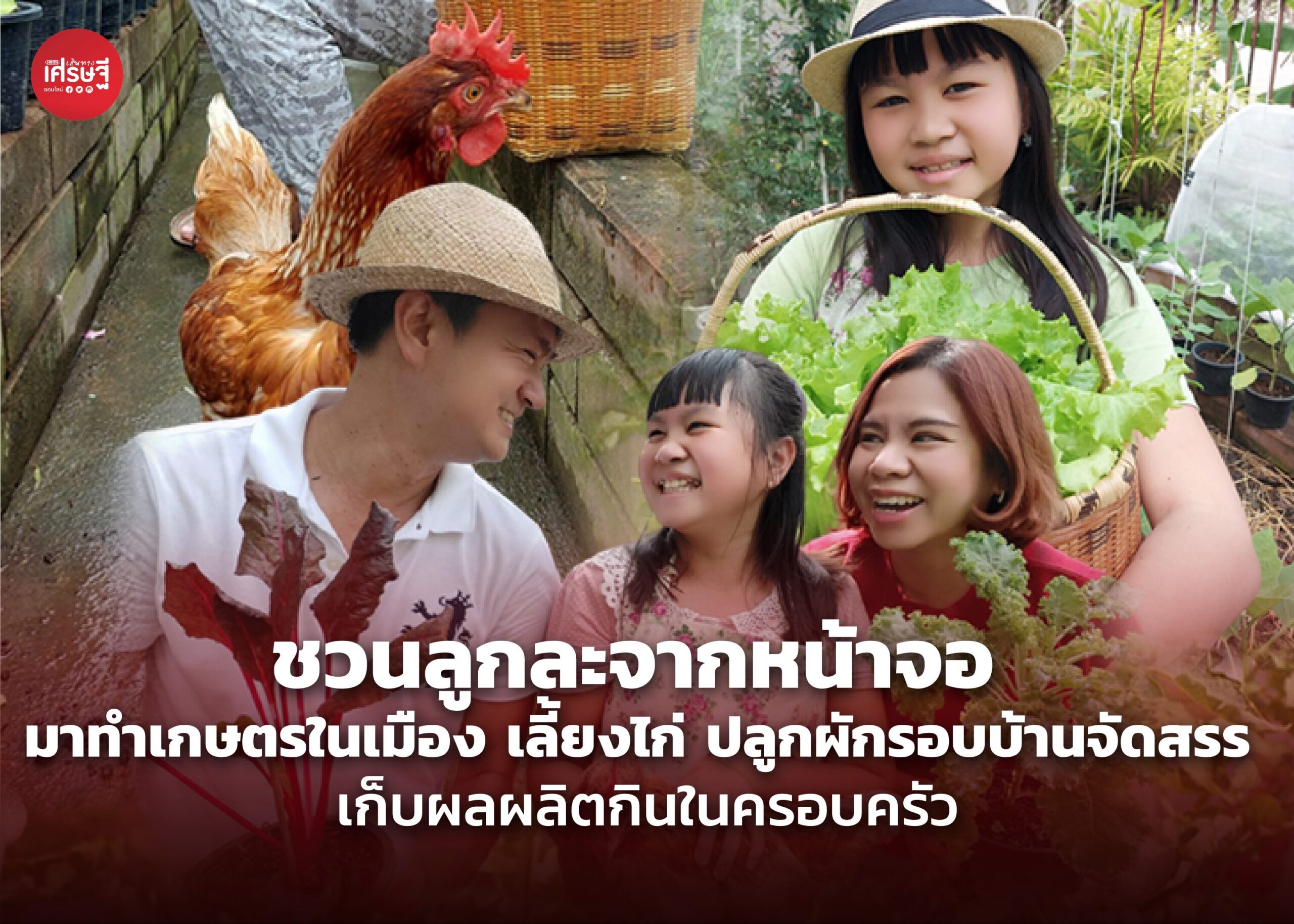 ชวนลูกละจากหน้าจอ มาทำเกษตรในเมือง เลี้ยงไก่ ปลูกผักรอบบ้านจัดสรร เก็บผลผลิตกินในครอบครัว