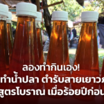 ลองทำกินเอง! วิธีทำน้ำปลา ตำรับสายเยาวภา สูตรโบราณ เมื่อร้อยปีก่อน