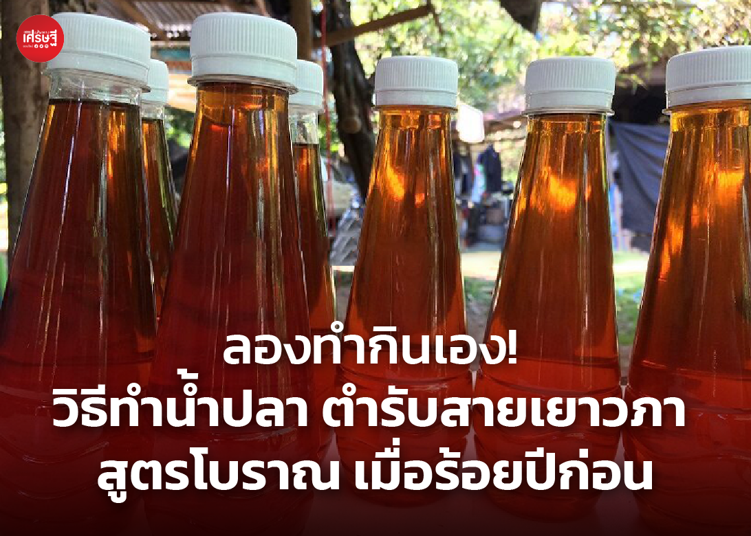 ลองทำกินเอง! วิธีทำน้ำปลา ตำรับสายเยาวภา สูตรโบราณ เมื่อร้อยปีก่อน