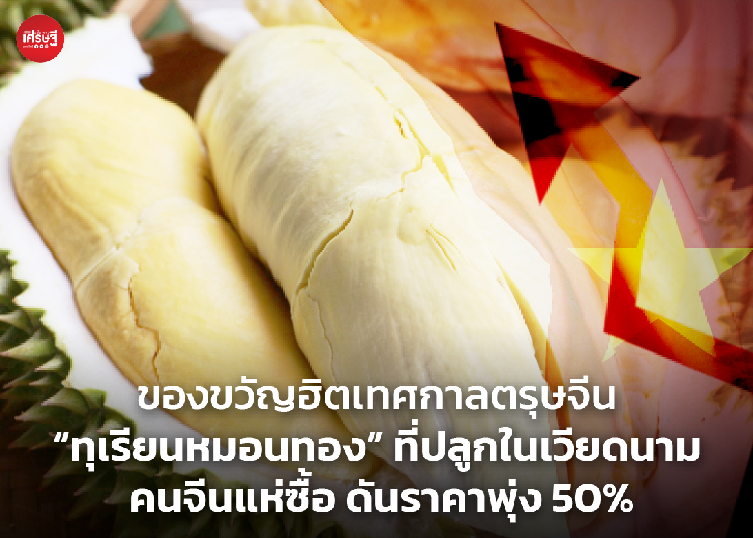ของขวัญฮิตเทศกาลตรุษจีน “ทุเรียนหมอนทอง” ที่ปลูกในเวียดนาม คนจีนแห่ซื้อ ดันราคาพุ่ง 50%