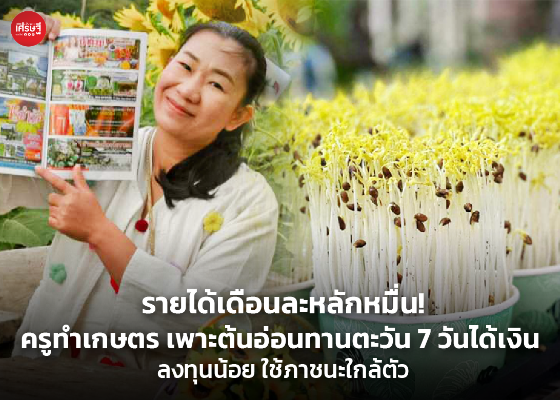 รายได้เดือนละหลักหมื่น! ครูทำเกษตร เพาะต้นอ่อนทานตะวัน 7 วันได้เงิน ลงทุนน้อย ใช้ภาชนะใกล้ตัว