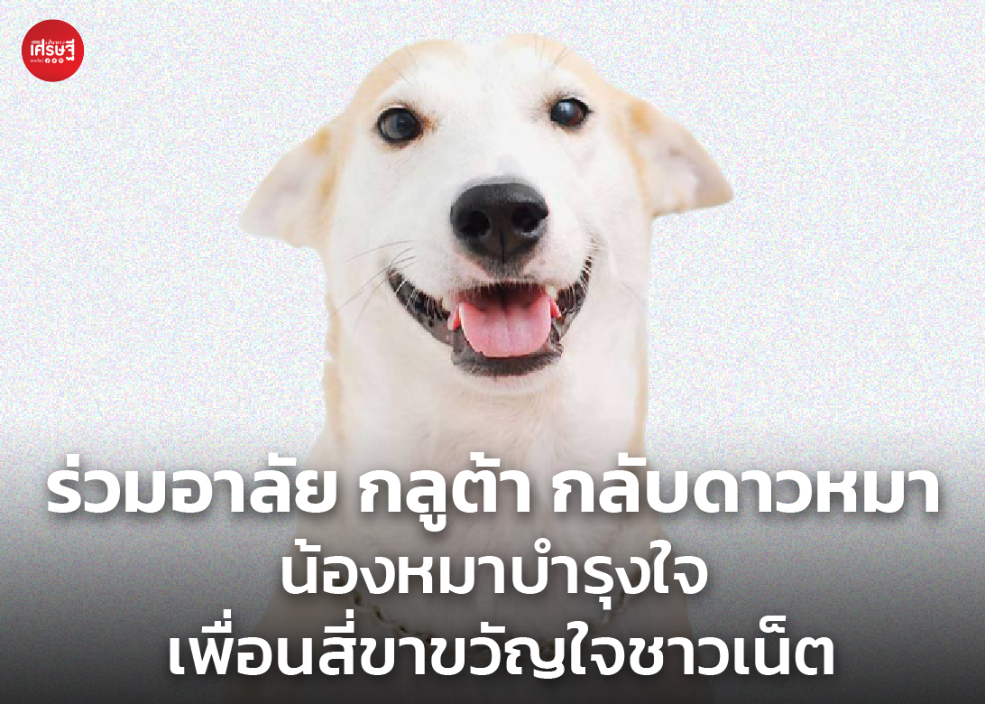 ร่วมอาลัย กลูต้า กลับดาวหมา น้องหมาบำรุงใจ เพื่อนสี่ขาขวัญใจชาวเน็ต