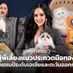 จากทาสแมว สู่พี่เลี้ยงแมวประกวดมือทอง กวาดแชมป์ระดับเอเชียและตะวันออกกลาง