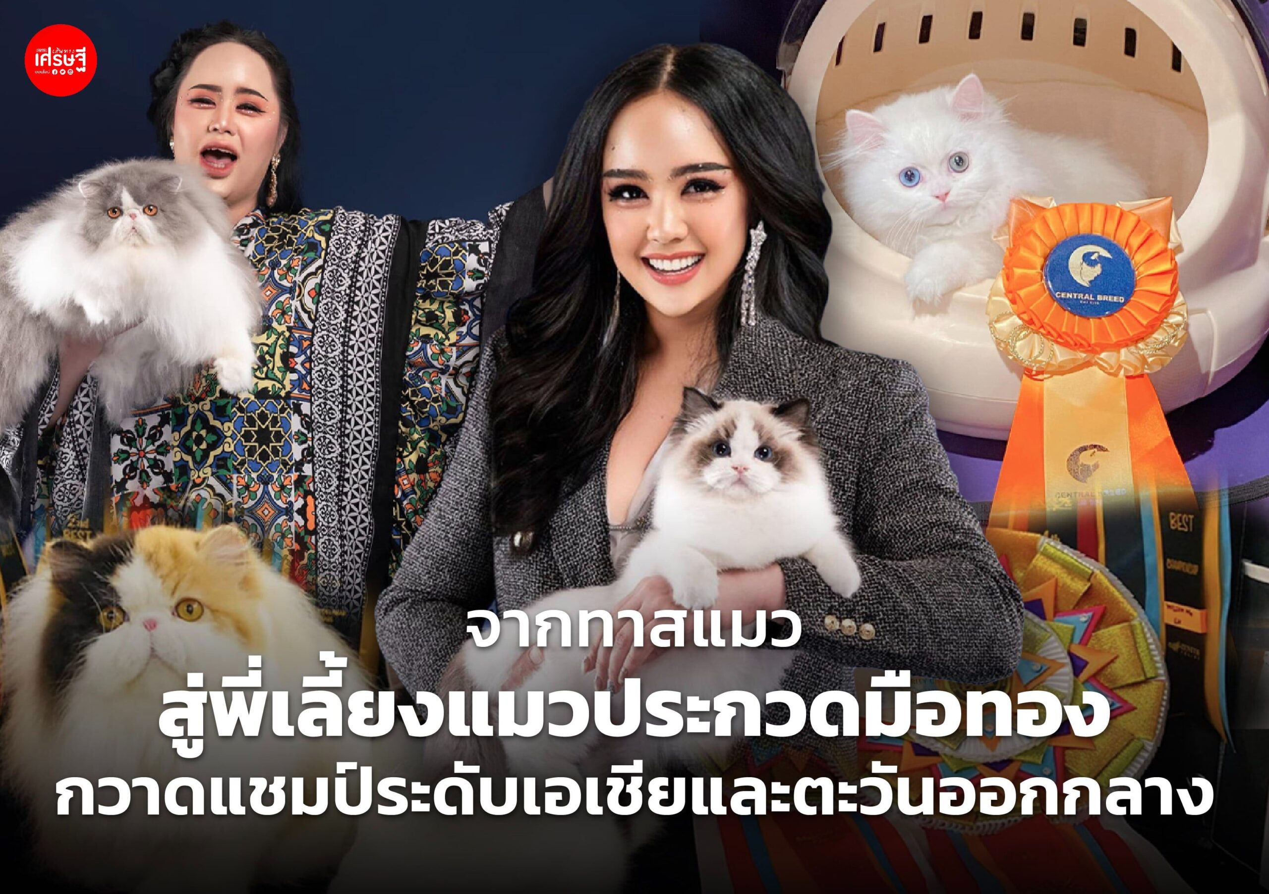 จากทาสแมว สู่พี่เลี้ยงแมวประกวดมือทอง กวาดแชมป์ระดับเอเชียและตะวันออกกลาง