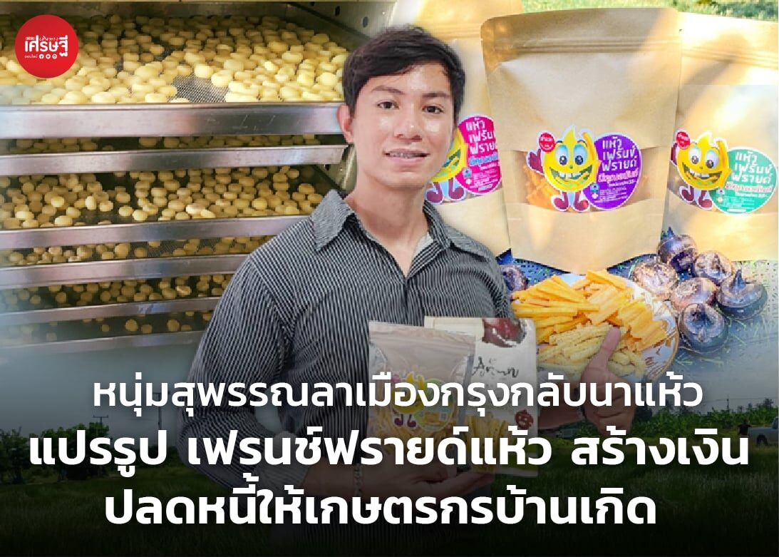 หนุ่มสุพรรณลาเมืองกรุงกลับนาแห้ว แปรรูป เฟรนช์ฟรายด์แห้ว สร้างเงิน ปลดหนี้ให้เกษตรกรบ้านเกิด