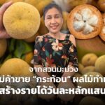 จากสวนมะม่วง สู่แม่ค้าขาย “กระท้อน” ผลไม้ทำเงิน สร้างรายได้วันละหลักแสน
