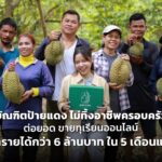 บัณฑิตป้ายแดง ไม่ทิ้งอาชีพครอบครัว ต่อยอด ขายทุเรียนออนไลน์ คว้ารายได้กว่า 6 ล้านบาท