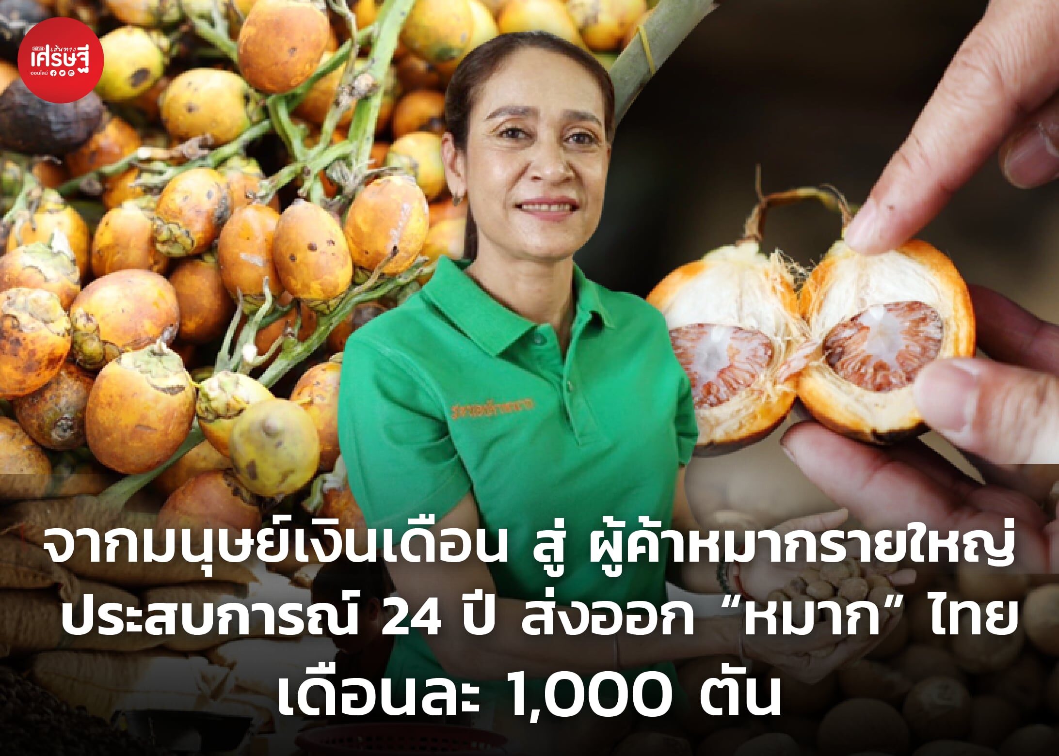 จากมนุษย์เงินเดือน สู่ ผู้ค้าหมากรายใหญ่ ประสบการณ์ 24 ปี ส่งออก "หมาก" ไทย เดือนละ 1,000 ตัน