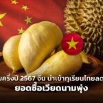 เผย ครึ่งปี 2567 จีน นำเข้าทุเรียนไทยลดลง ยอดซื้อเวียดนามพุ่ง