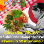 รู้จักอาชีพ “อิโรโดริ” ธุรกิจเก็บใบไม้ขายของผู้สูงวัยชาวญี่ปุ่น สร้างรายได้ 60 ล้านบาทต่อปี