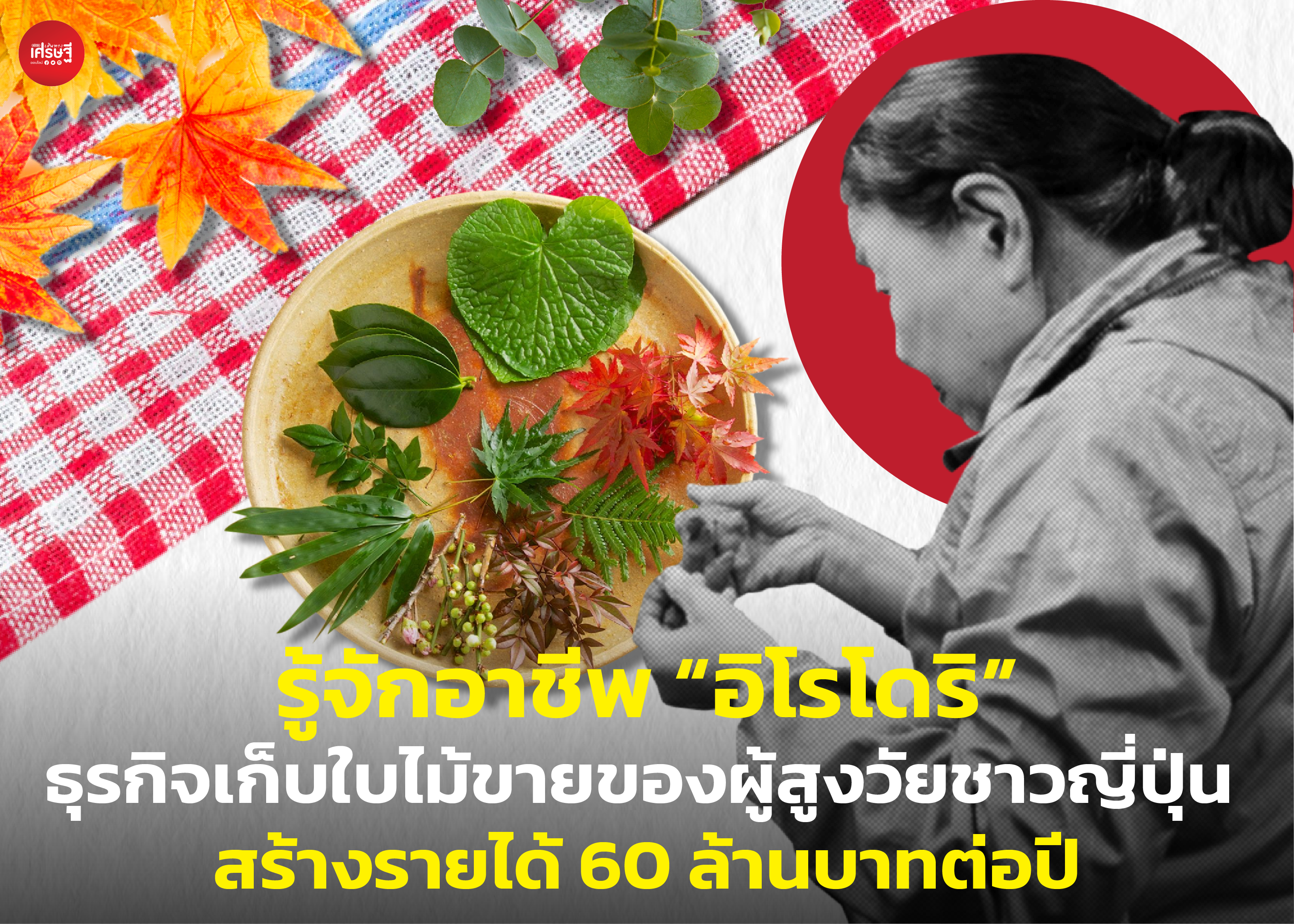 รู้จักอาชีพ “อิโรโดริ” ธุรกิจเก็บใบไม้ขายของผู้สูงวัยชาวญี่ปุ่น สร้างรายได้ 60 ล้านบาทต่อปี