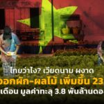 ไทยว่าไง? เวียดนาม ผงาด ส่งออกผัก-ผลไม้ เพิ่มขึ้น 23.4% ใน 7 เดือน มูลค่าทะลุ 3.8 พันล้านดอลลาร์