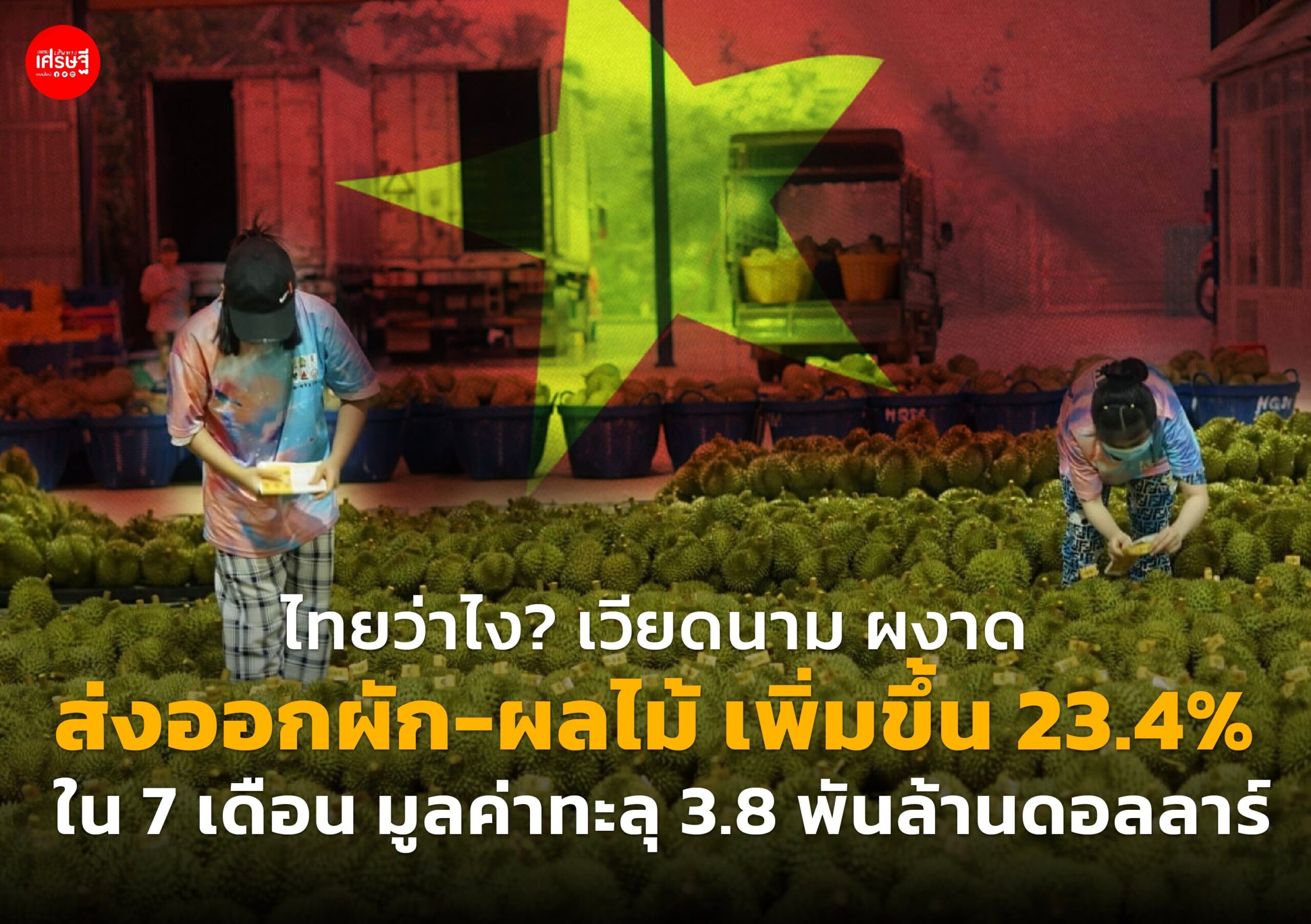 ไทยว่าไง? เวียดนาม ผงาด ส่งออกผัก-ผลไม้ เพิ่มขึ้น 23.4% ใน 7 เดือน มูลค่าทะลุ 3.8 พันล้านดอลลาร์