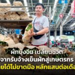 ผักบุ้งจีน เปลี่ยนชีวิต จากรับจ้างเข็นผักสู่เกษตรกร รายได้ไม่ขาดมือ หลักแสนต่อเดือน