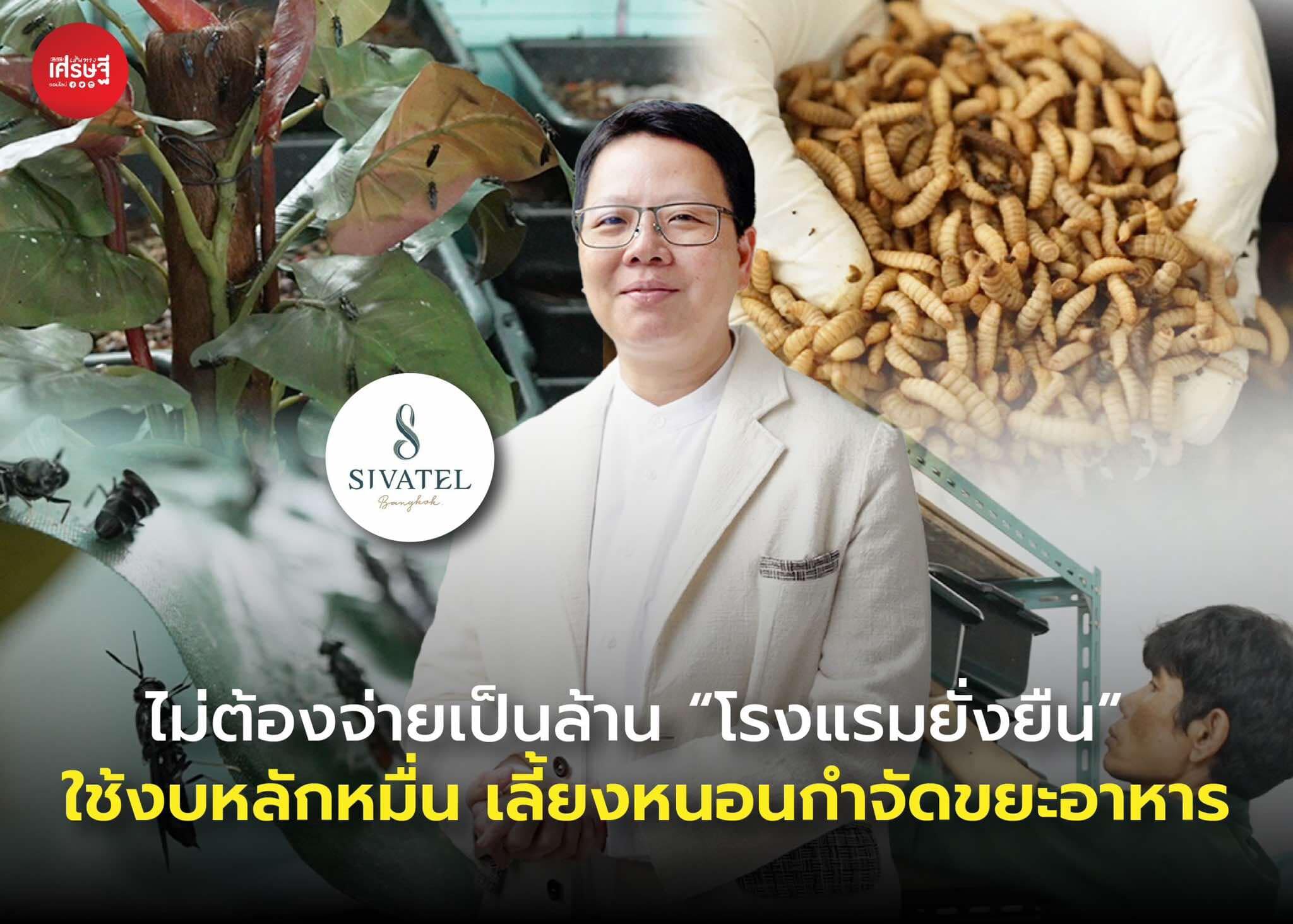 ไม่ต้องจ่ายเป็นล้าน “โรงแรมยั่งยืน” ใช้งบหลักหมื่น เลี้ยงหนอนกำจัดขยะอาหาร