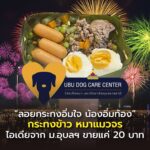 "ลอยกระทงอิ่มใจ น้องอิ่มท้อง" กระทงข้าว หมาแมวจร ไอเดียจาก ม.อุบลฯ ขายแค่ 20 บาท