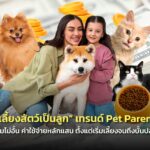 "เลี้ยงสัตว์เป็นลูก" เทรนด์ Pet Parent คนไทยทุ่มไม่อั้น ค่าใช้จ่ายหลักแสน ตั้งแต่เริ่มเลี้ยงจนถึงบั้นปลายชีวิต