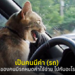 เป็นคนมีค่า (รถ) 1 ปี ของคนมีรถหมดค่าใช้จ่าย ไปกับอะไรบ้าง