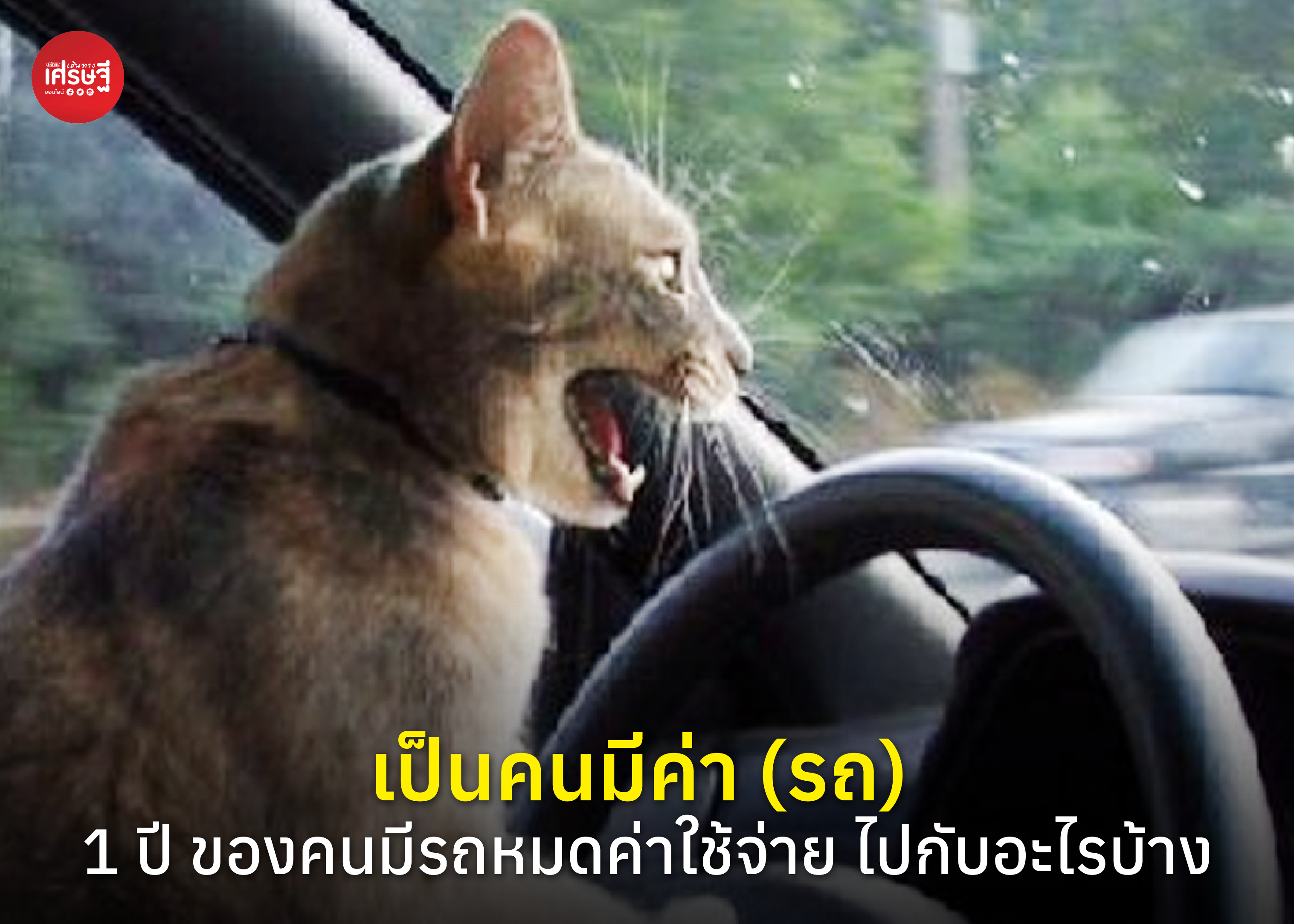 เป็นคนมีค่า (รถ) 1 ปี ของคนมีรถหมดค่าใช้จ่าย ไปกับอะไรบ้าง
